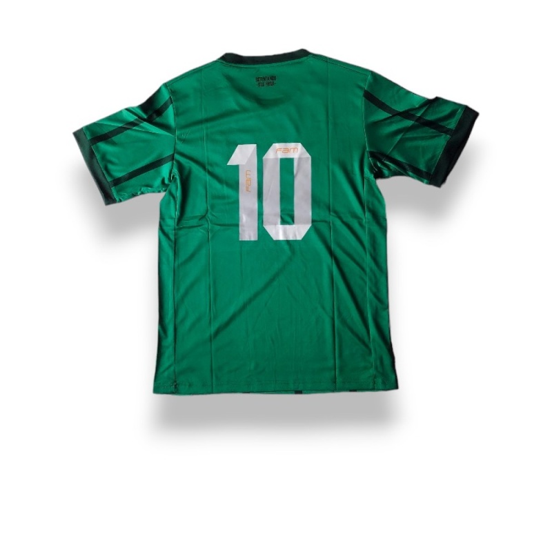 Camiseta Palmeiras Alternativa
